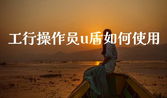 工行操作员u盾如何使用_https://m.lcjysmgs.com_股权投资_第1张