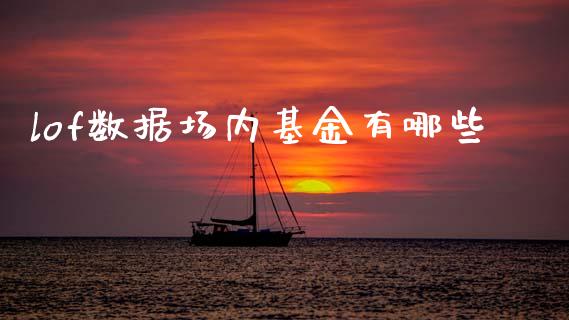 lof数据场内基金有哪些_https://m.lcjysmgs.com_金融服务_第1张