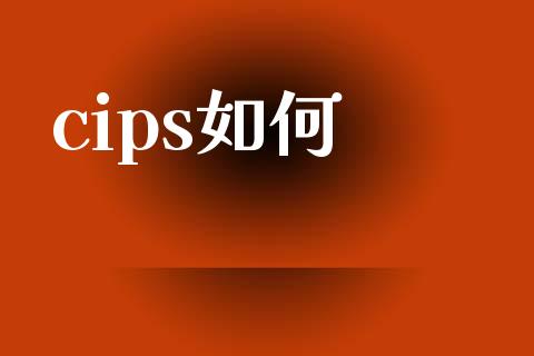 cips如何_https://m.lcjysmgs.com_金融服务_第1张