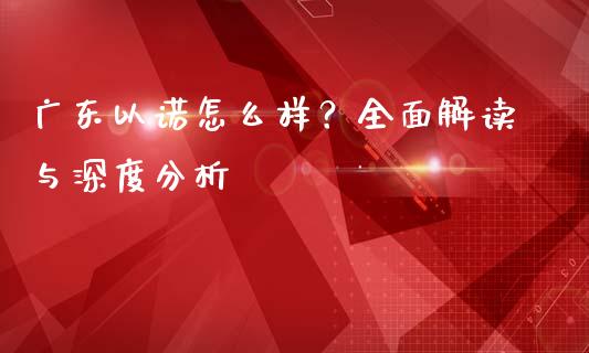 广东以诺怎么样？全面解读与深度分析_https://m.lcjysmgs.com_金融服务_第1张