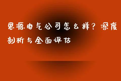 思源电气公司怎么样？深度剖析与全面评估_https://m.lcjysmgs.com_基金管理_第1张
