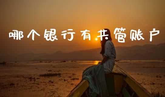 哪个银行有共管账户_https://m.lcjysmgs.com_金融服务_第1张
