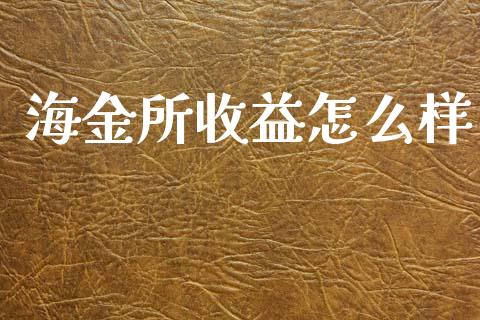 海金所收益怎么样_https://m.lcjysmgs.com_股权投资_第1张