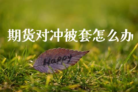 期货对冲被套怎么办_https://m.lcjysmgs.com_股权投资_第1张