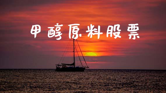甲醇原料股票_https://m.lcjysmgs.com_金融服务_第1张
