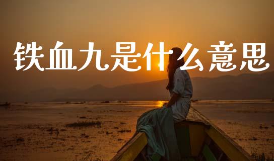 铁血九是什么意思_https://m.lcjysmgs.com_基金管理_第1张