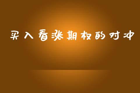买入看涨期权的对冲_https://m.lcjysmgs.com_基金管理_第1张