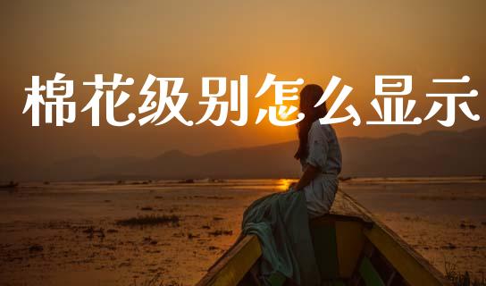 棉花级别怎么显示_https://m.lcjysmgs.com_基金管理_第1张