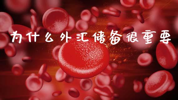 为什么外汇储备很重要_https://m.lcjysmgs.com_股权投资_第1张